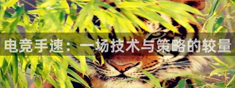 火狐电竞体育官网：电竞手速：一场技术与策略的较量